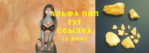 тгк Абаза