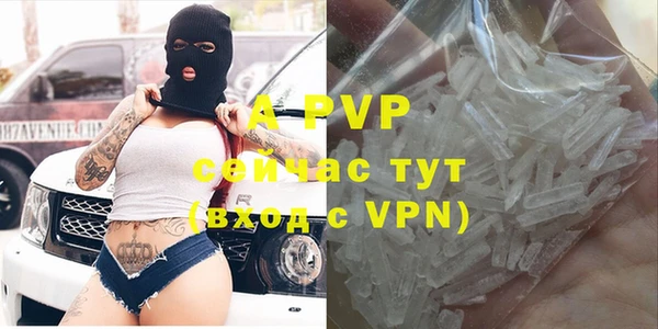 тгк Абаза